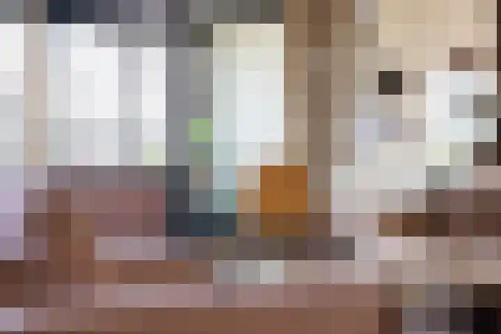 Specerijenhof 25 Rotterdam thumbnail 9