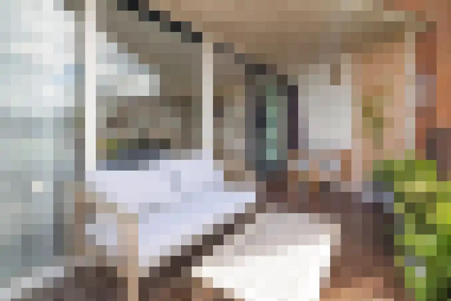 Specerijenhof 38 Rotterdam thumbnail 6