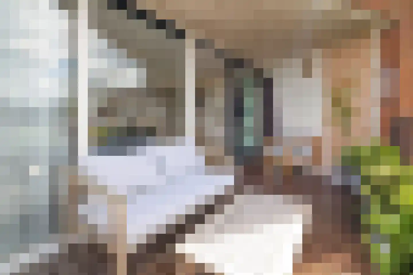 Specerijenhof 38 Rotterdam thumbnail 7