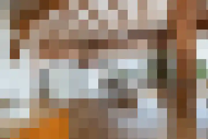 Specerijenhof 62 Rotterdam thumbnail 12