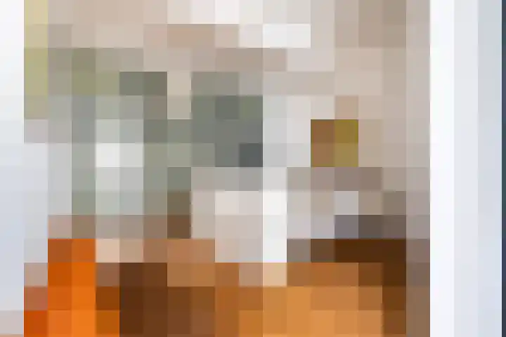 Specerijenhof 62 Rotterdam thumbnail 25
