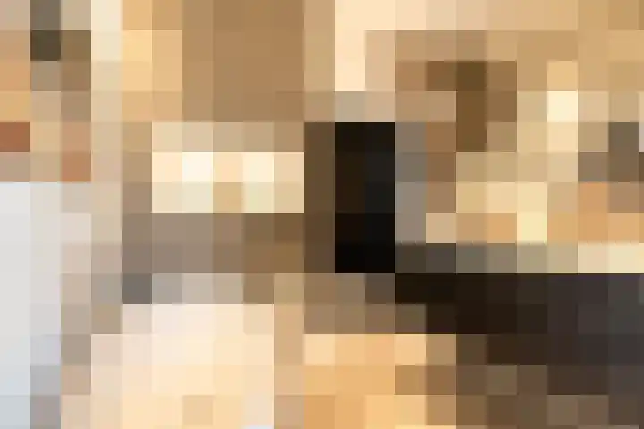 Specerijenhof 62 Rotterdam thumbnail 30