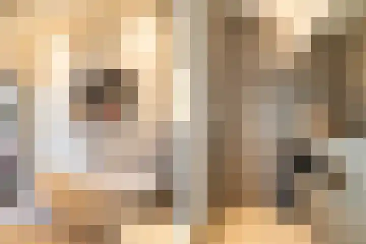 Specerijenhof 62 Rotterdam thumbnail 32