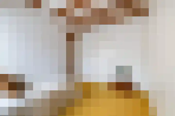 Specerijenhof 62 Rotterdam thumbnail 35