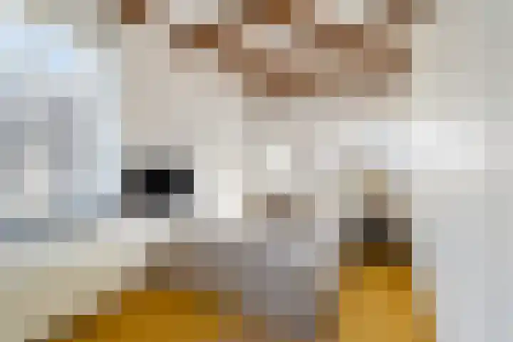 Specerijenhof 62 Rotterdam thumbnail 37