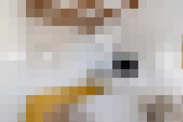 Specerijenhof 62 Rotterdam thumbnail 38