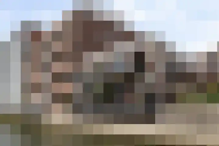 Specerijenhof 62 Rotterdam thumbnail 41