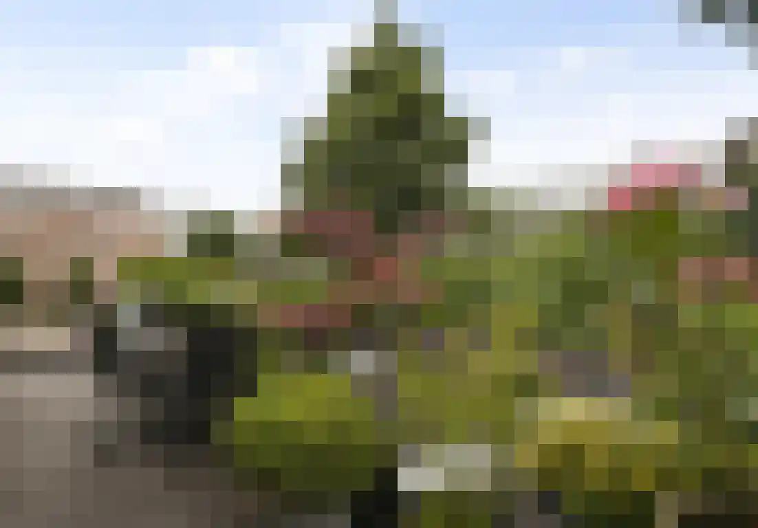 Specerijenhof 67 Rotterdam thumbnail 4