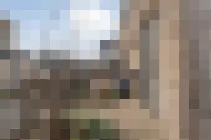 Specerijenmolen 11 Zwolle thumbnail 14