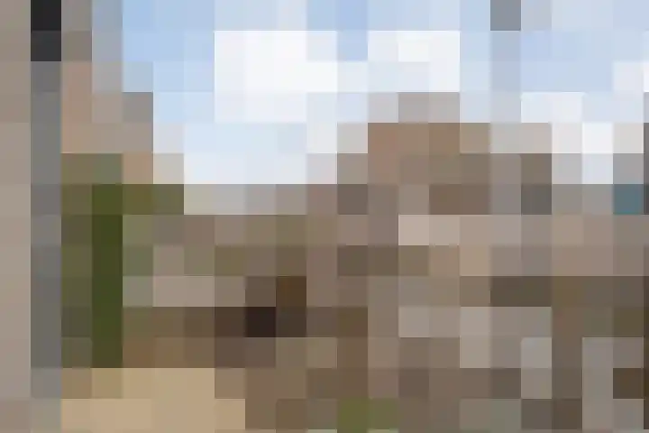 Specerijenmolen 11 Zwolle thumbnail 15