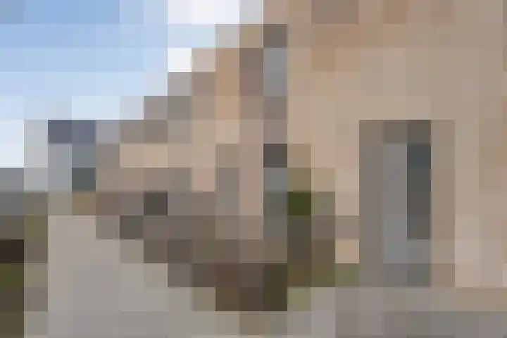 Specerijenmolen 11 Zwolle thumbnail 16