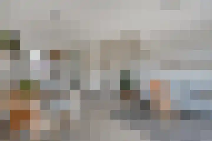 Specerijenmolen 11 Zwolle thumbnail 22