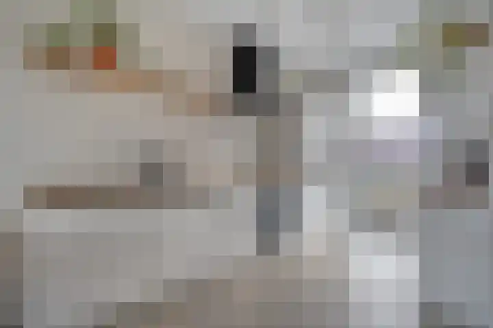 Specerijenmolen 11 Zwolle thumbnail 24