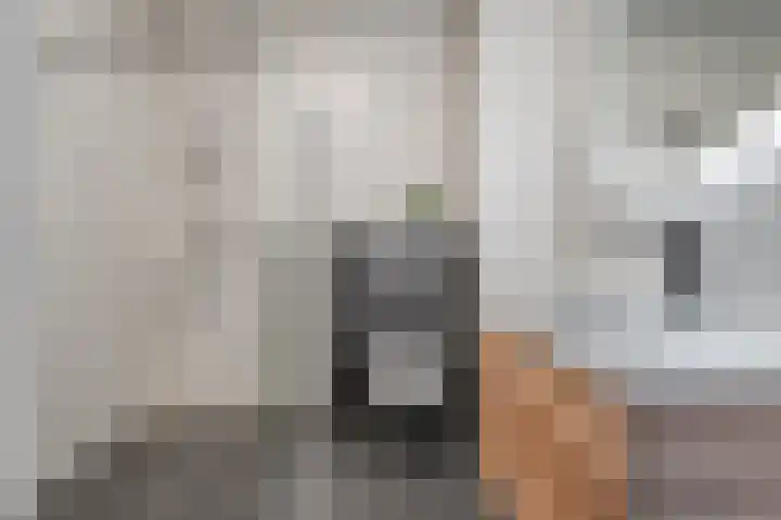Specerijenmolen 11 Zwolle thumbnail 31