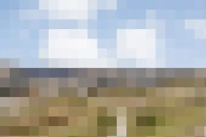 Specerijenmolen 11 Zwolle thumbnail 4