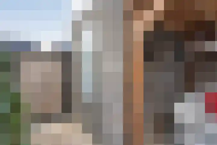 Specerijenmolen 11 Zwolle thumbnail 42
