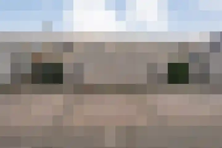 Specerijenmolen 11 Zwolle thumbnail 45