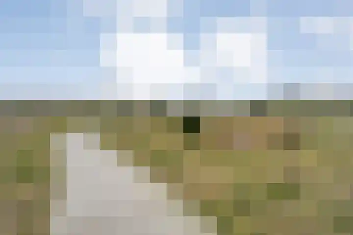 Specerijenmolen 11 Zwolle thumbnail 47