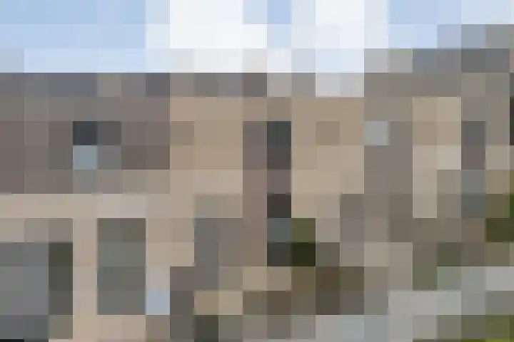 Specerijenmolen 11 Zwolle thumbnail 6