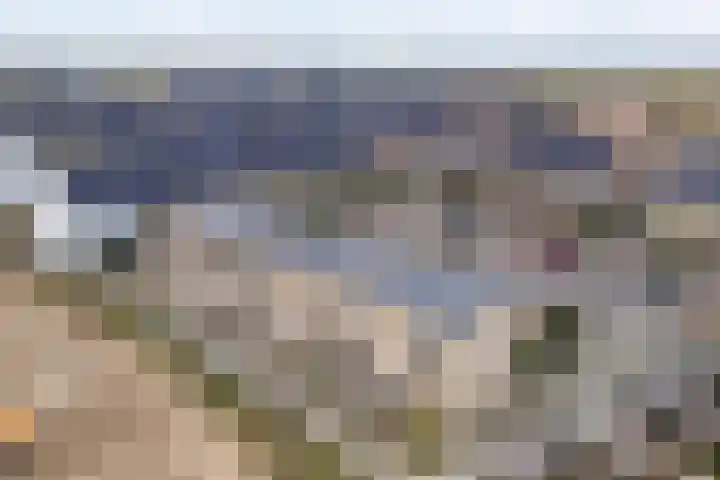 Specerijenmolen 11 Zwolle thumbnail 9