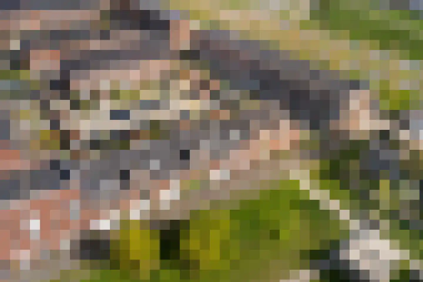 Specerijenpad 18 Utrecht thumbnail 42