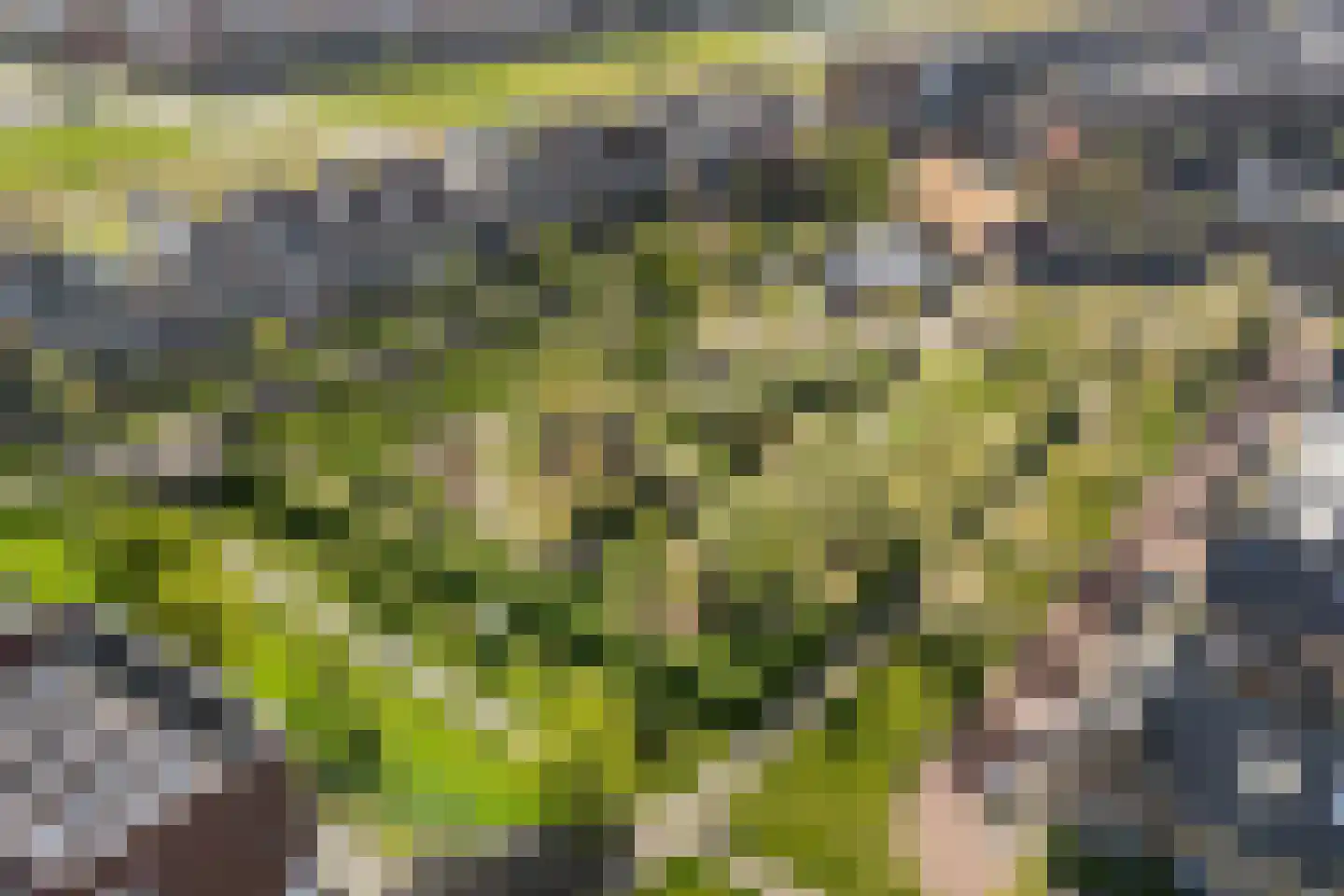 Specerijenpad 18 Utrecht thumbnail 45