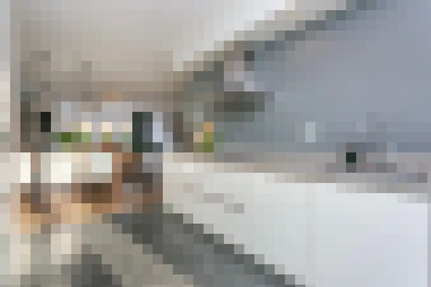 Specerijenpad 18 Utrecht thumbnail 7