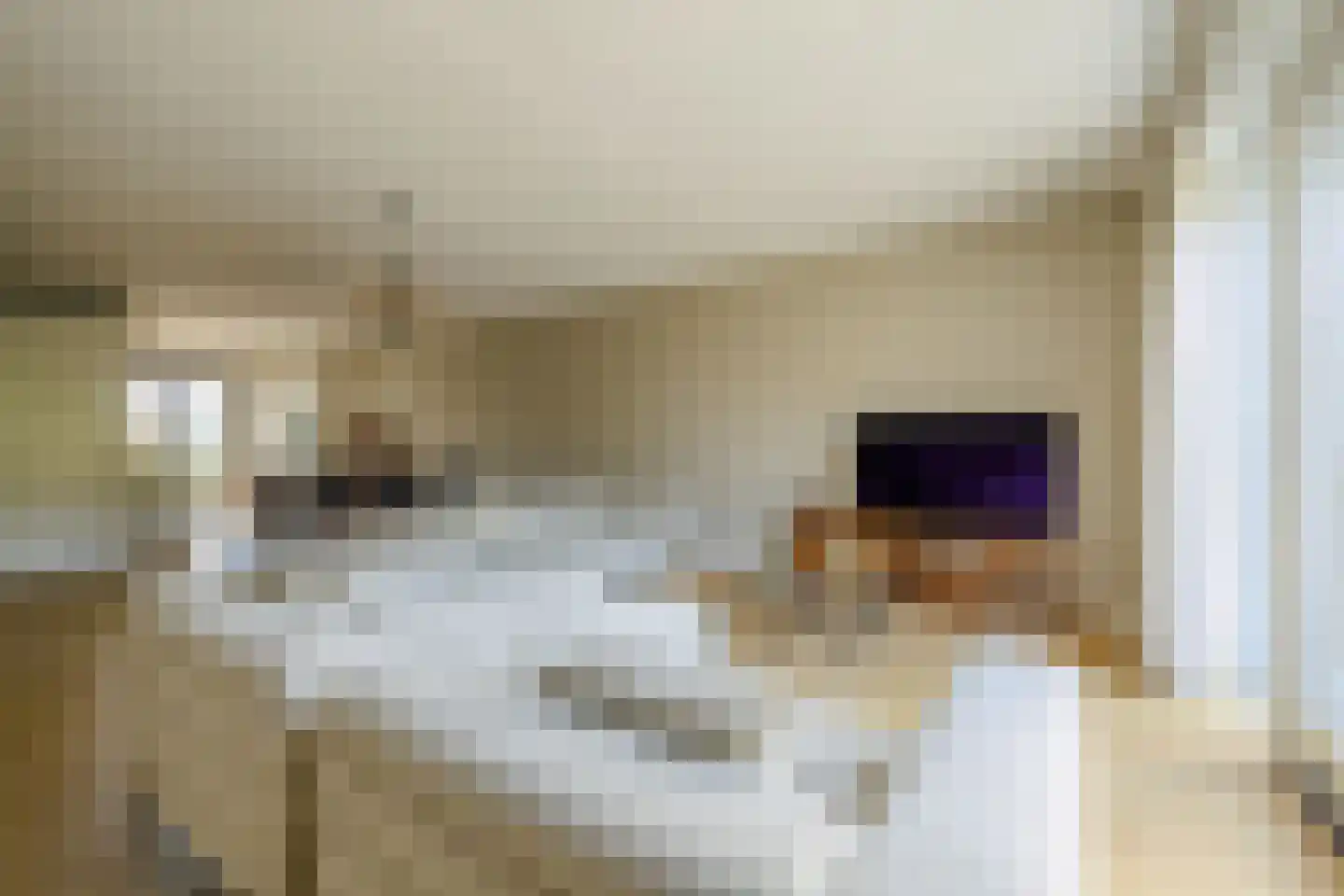 Specerijenpad 20 Utrecht thumbnail 12