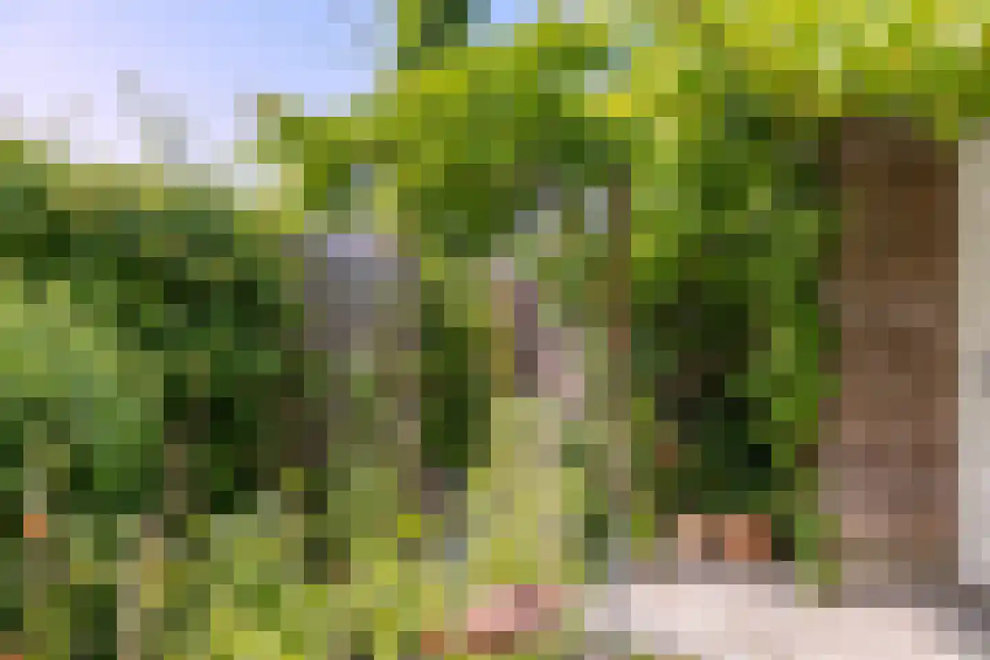 Specerijenpad 20 Utrecht thumbnail 25