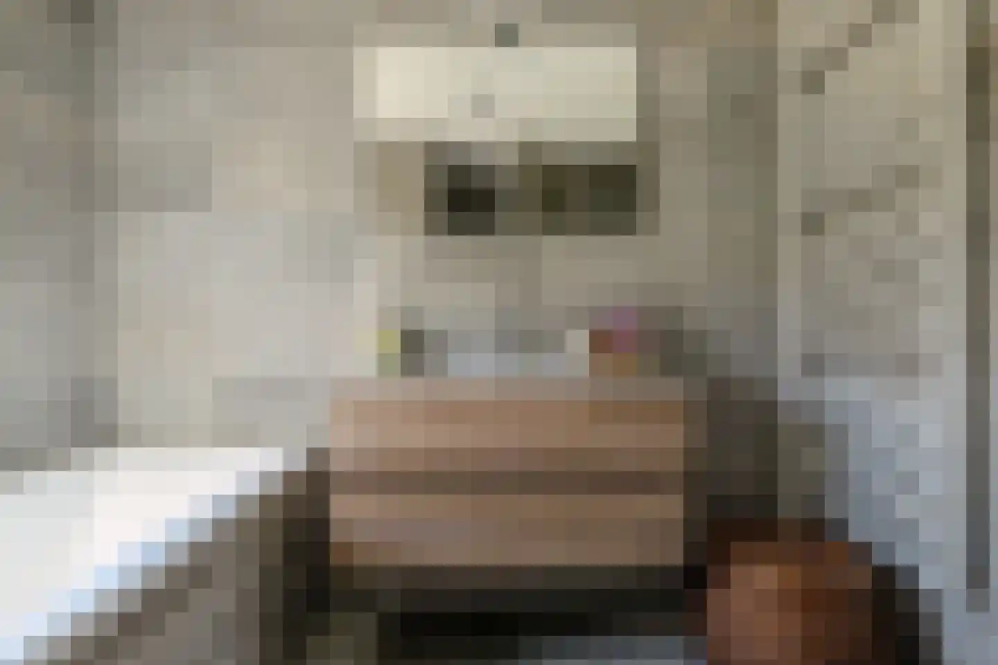 Specerijenpad 20 Utrecht thumbnail 37