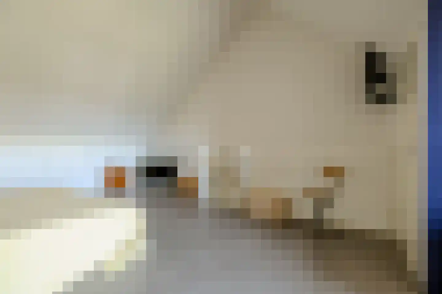 Specerijenpad 20 Utrecht thumbnail 49