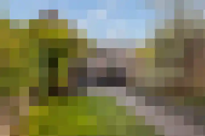 Specerijenvallei 29 Utrecht thumbnail 21