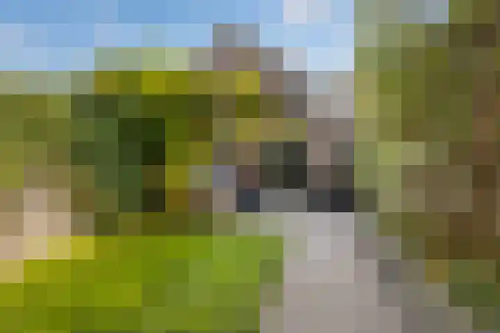 Specerijenvallei 29 Utrecht thumbnail 22