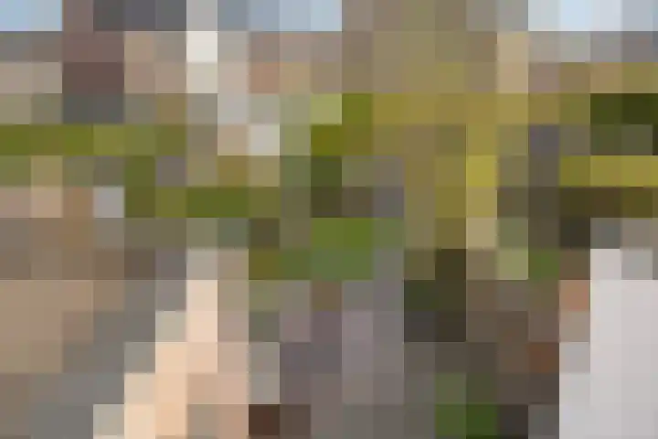 Specerijenvallei 29 Utrecht thumbnail 25
