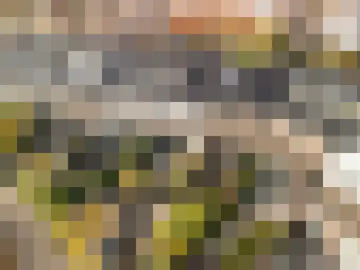 Specerijenvallei 29 Utrecht thumbnail 38