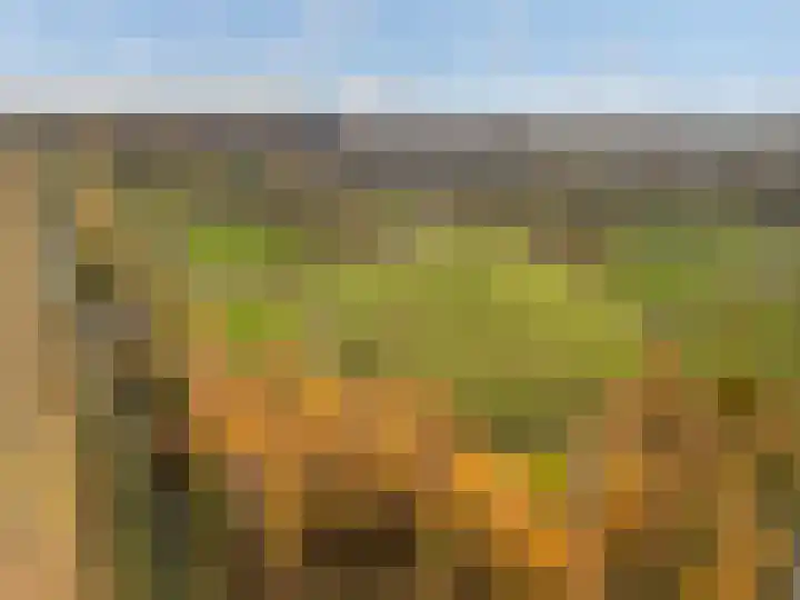 Specerijenvallei 29 Utrecht thumbnail 40