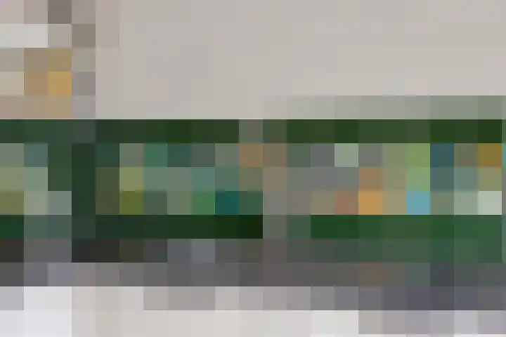 Specht 12 Soest thumbnail 11