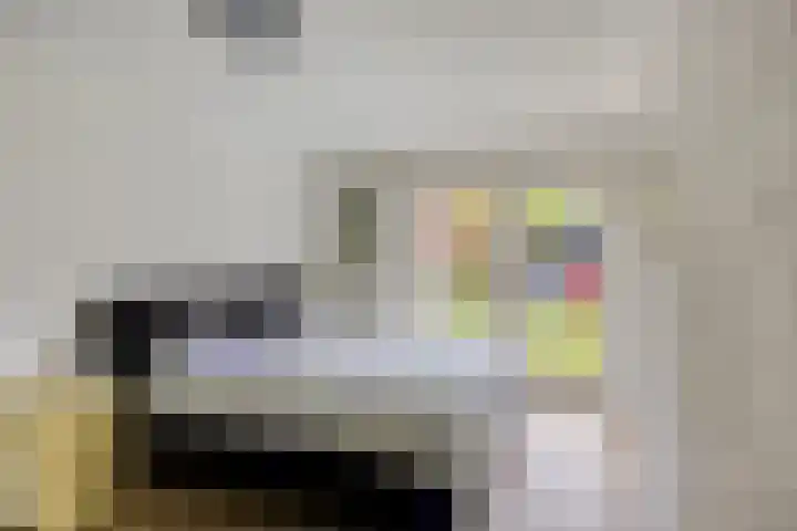 Specht 12 Soest thumbnail 12