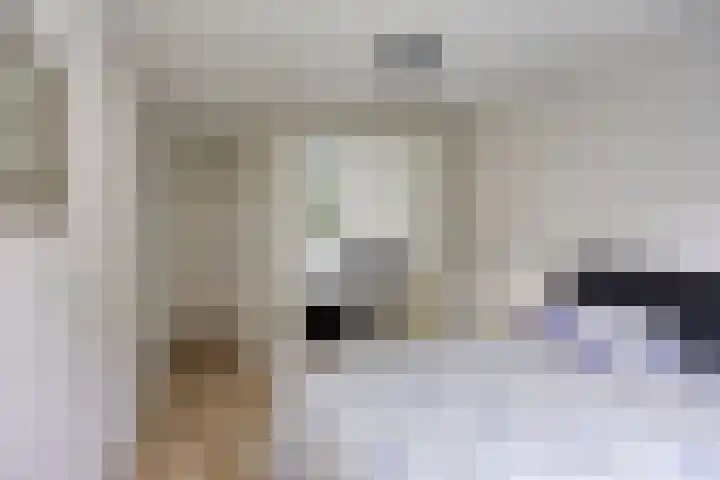 Specht 12 Soest thumbnail 14
