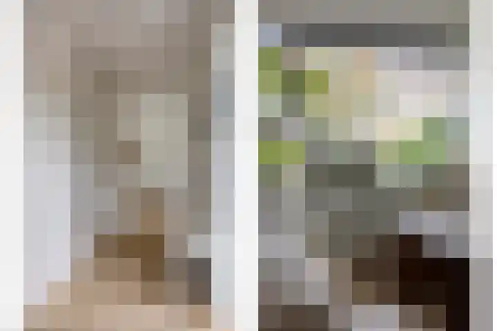 Specht 12 Soest thumbnail 17