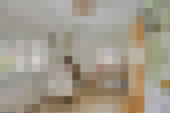 Specht 12 Soest thumbnail 21