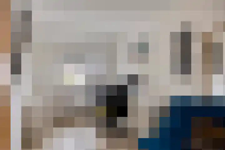 Specht 12 Soest thumbnail 22