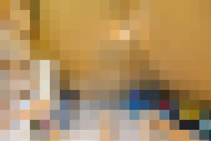 Specht 12 Soest thumbnail 27