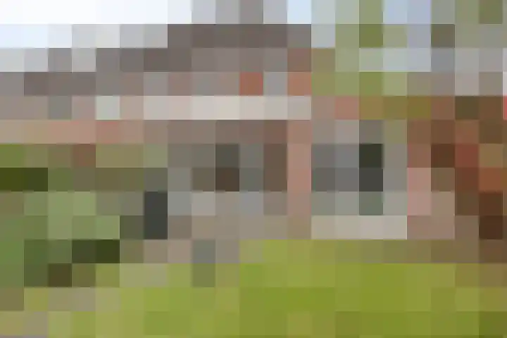 Specht 12 Soest thumbnail 29
