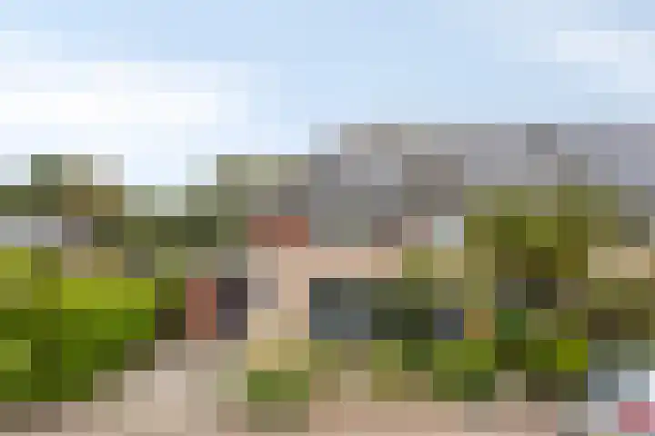Specht 12 Soest thumbnail 34