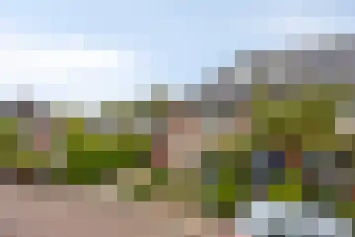Specht 12 Soest thumbnail 35