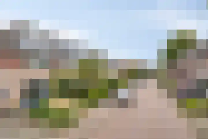 Specht 12 Soest thumbnail 36