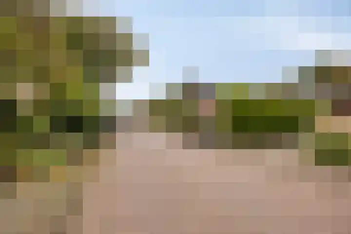 Specht 12 Soest thumbnail 37