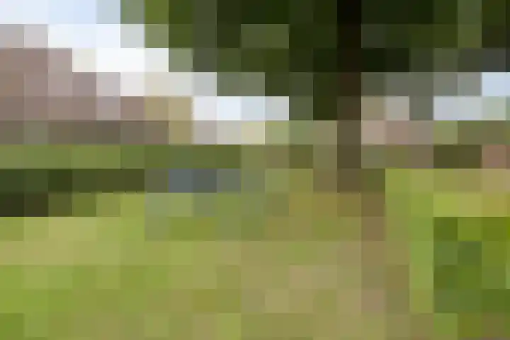 Specht 12 Soest thumbnail 39