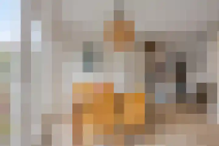 Specht 12 Soest thumbnail 7